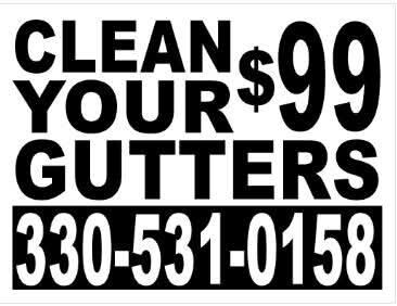 Stop Cleaning Gutters Forever